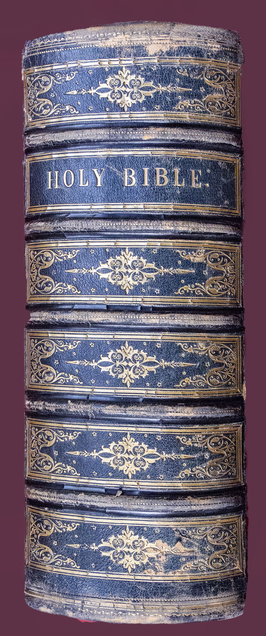 Authorised version of Holy Bible, showing the Spine